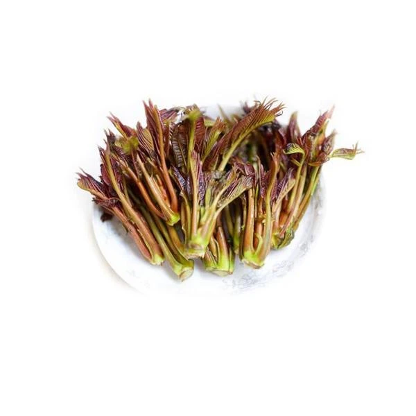 高原红香椿芽 90g±5g（炒着吃、凉拌）