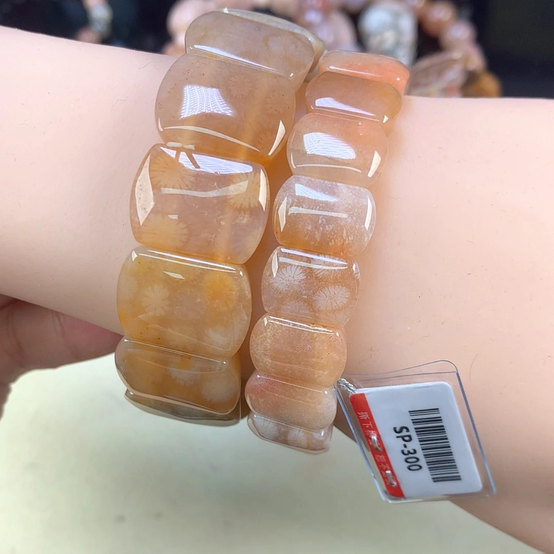 【闪购商品】颈饰未镶嵌硅化珊瑚（珊瑚玉）49号手排300一条可挑