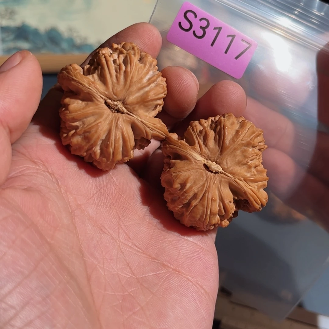 文玩核桃把件三角白
