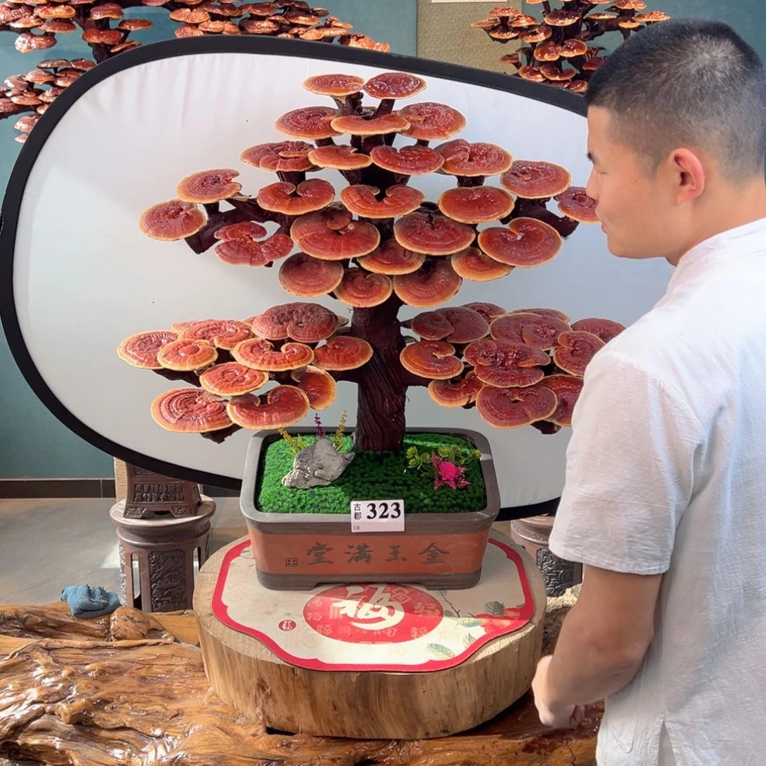 无花朵888888888888