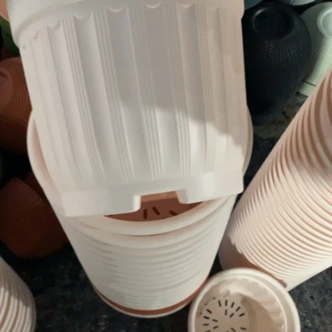 树脂28粉罗马无托3个