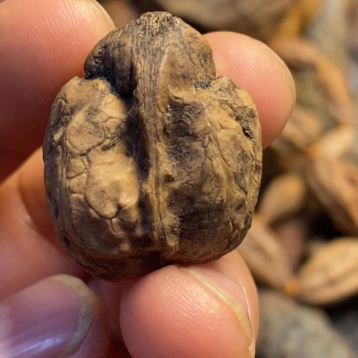 吊坠文玩核桃东北特产5