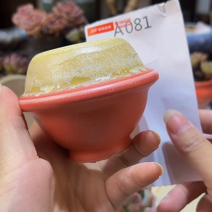 景德镇陶瓷研究所