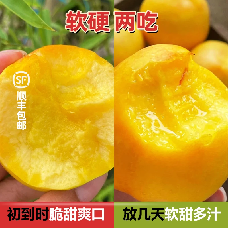 丹东黄金蜜桃新鲜黄油桃脆甜多汁现摘现季水果顺丰快递