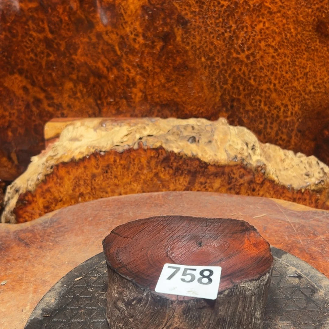 大果紫檀（缅甸花梨）