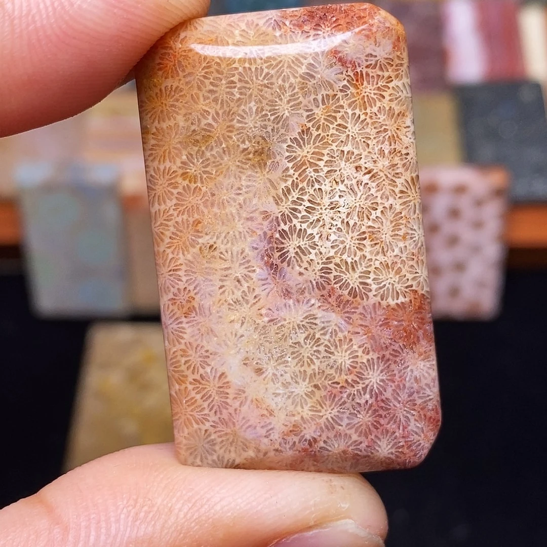无***肉合金珊瑚玉硅化玉