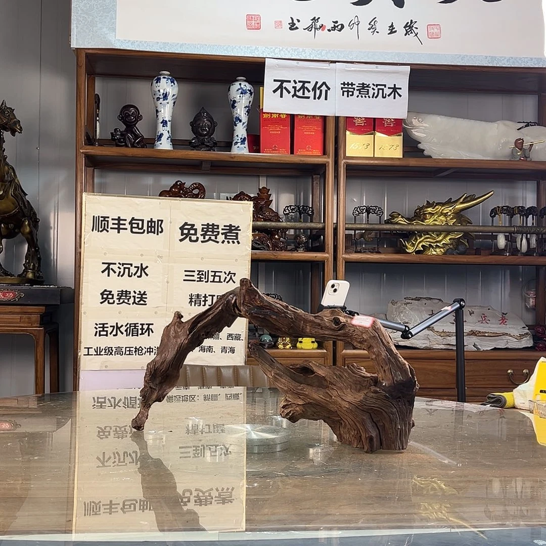 紫砂紫柚木D一木成景
