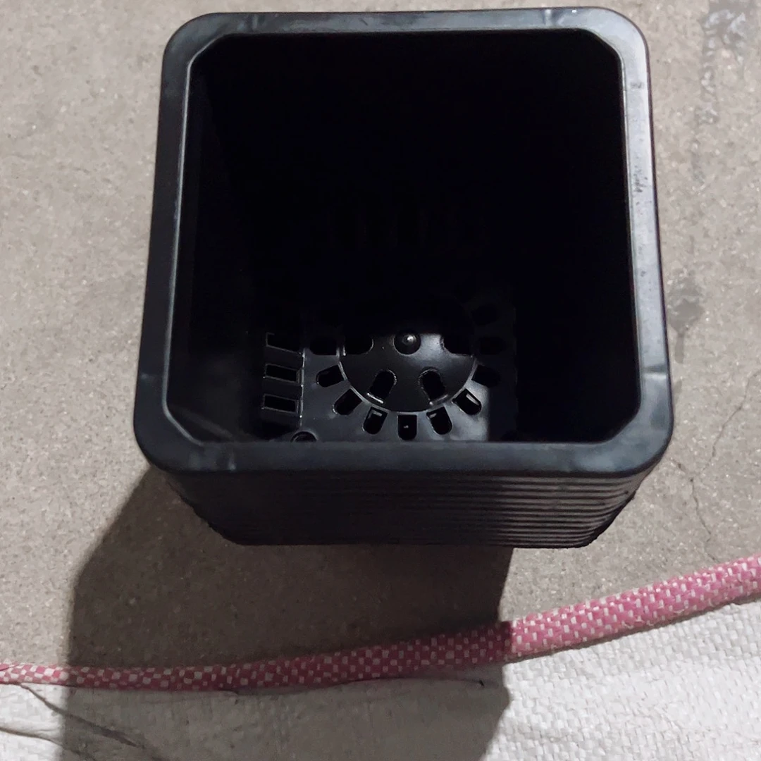 塑料福利款9方黑色盆10个无托