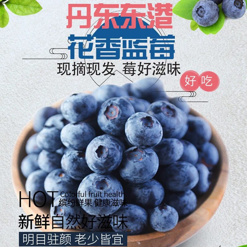 正宗丹东东港优瑞卡T3花香蓝莓个头均匀新鲜采摘果香甜度浓郁爽口