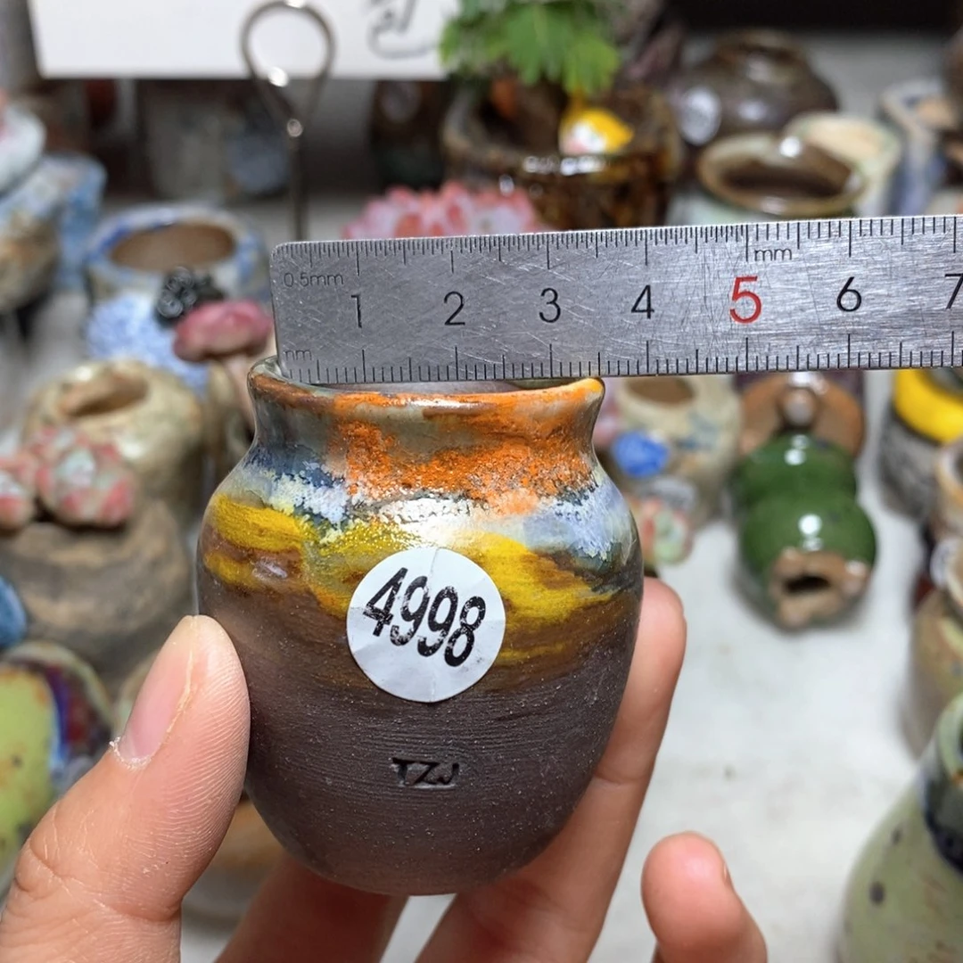 花盆拍5送一个小礼物