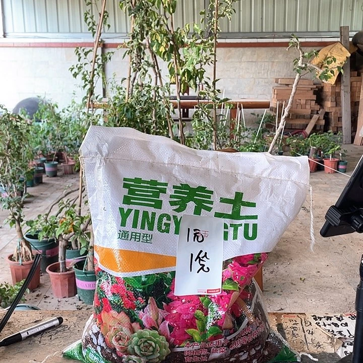 完全开放鸭鸭111111111