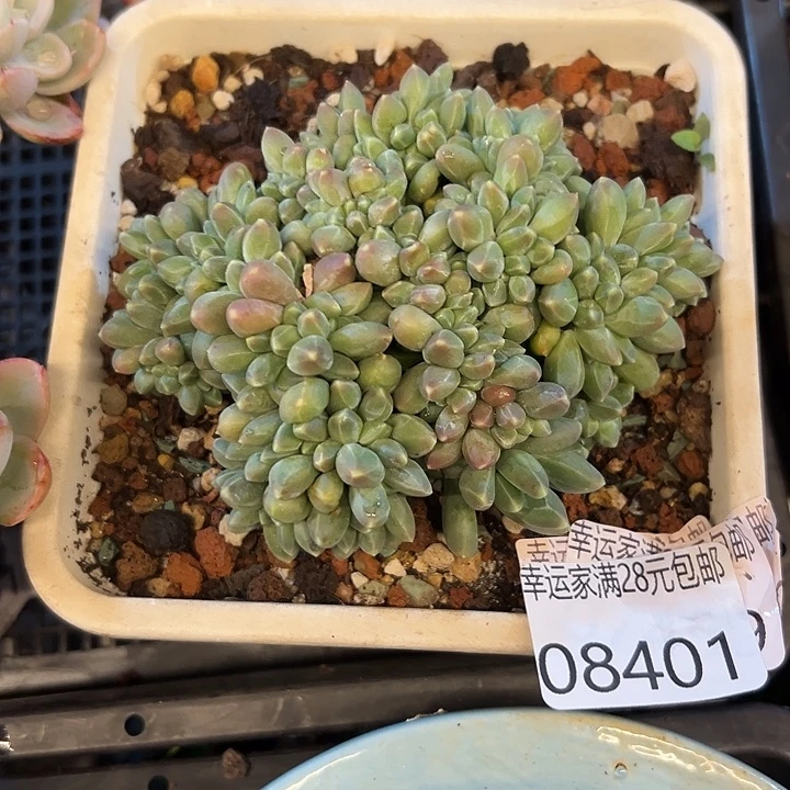 幸运的是我还没遇到过