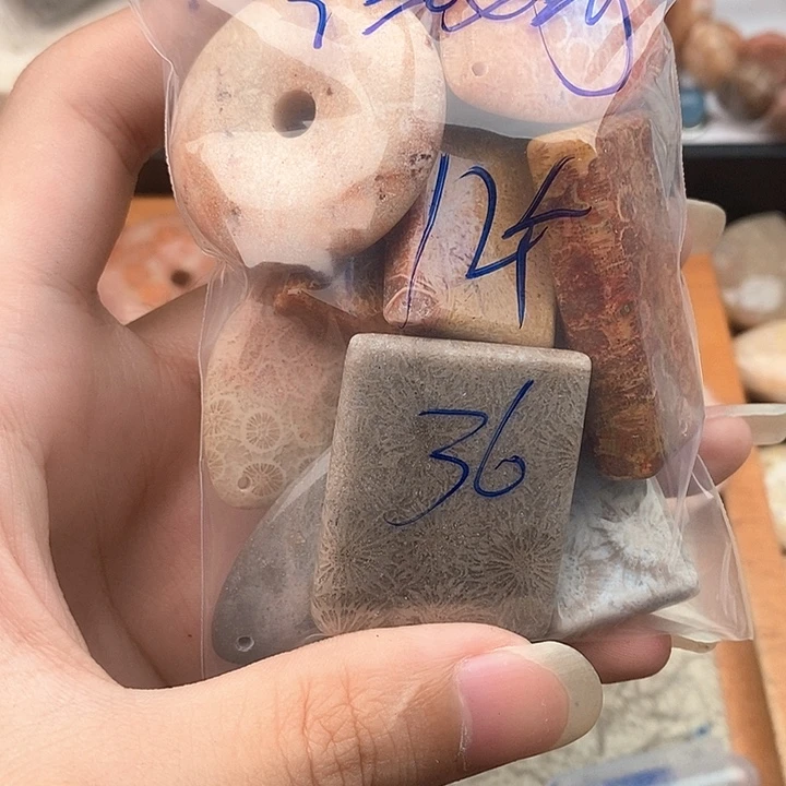 硅化玉未镶嵌颈饰