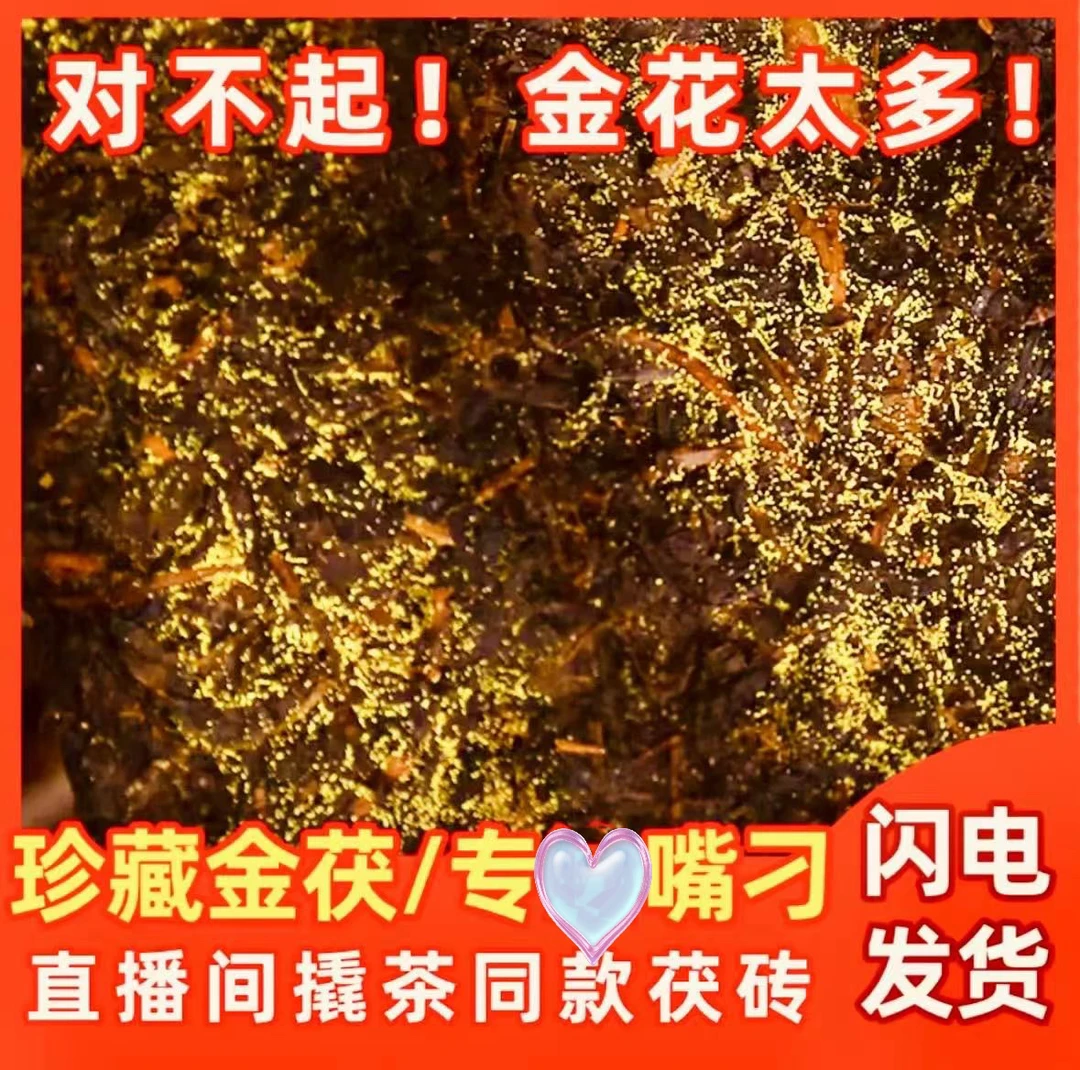 (2014年天尖金花茯茶)金花茯砖茶金花爆满正宗安化黑茶