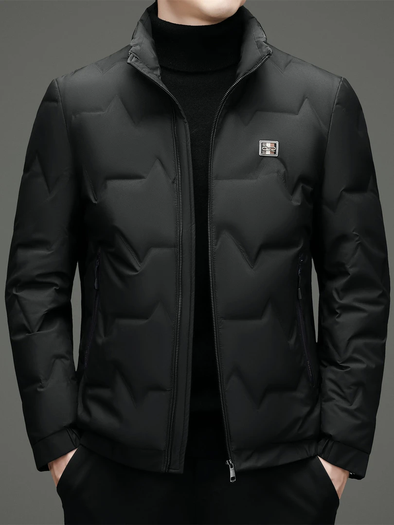 简约轻奢男士羽绒服时尚立领休闲短款加厚白鸭绒保暖羽绒外套百搭