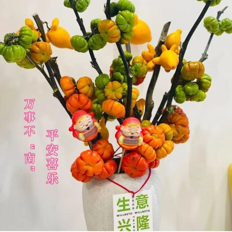 【高30-60cm挂果】小南瓜鲜切花真花室内花束绿植鲜花插花摆件