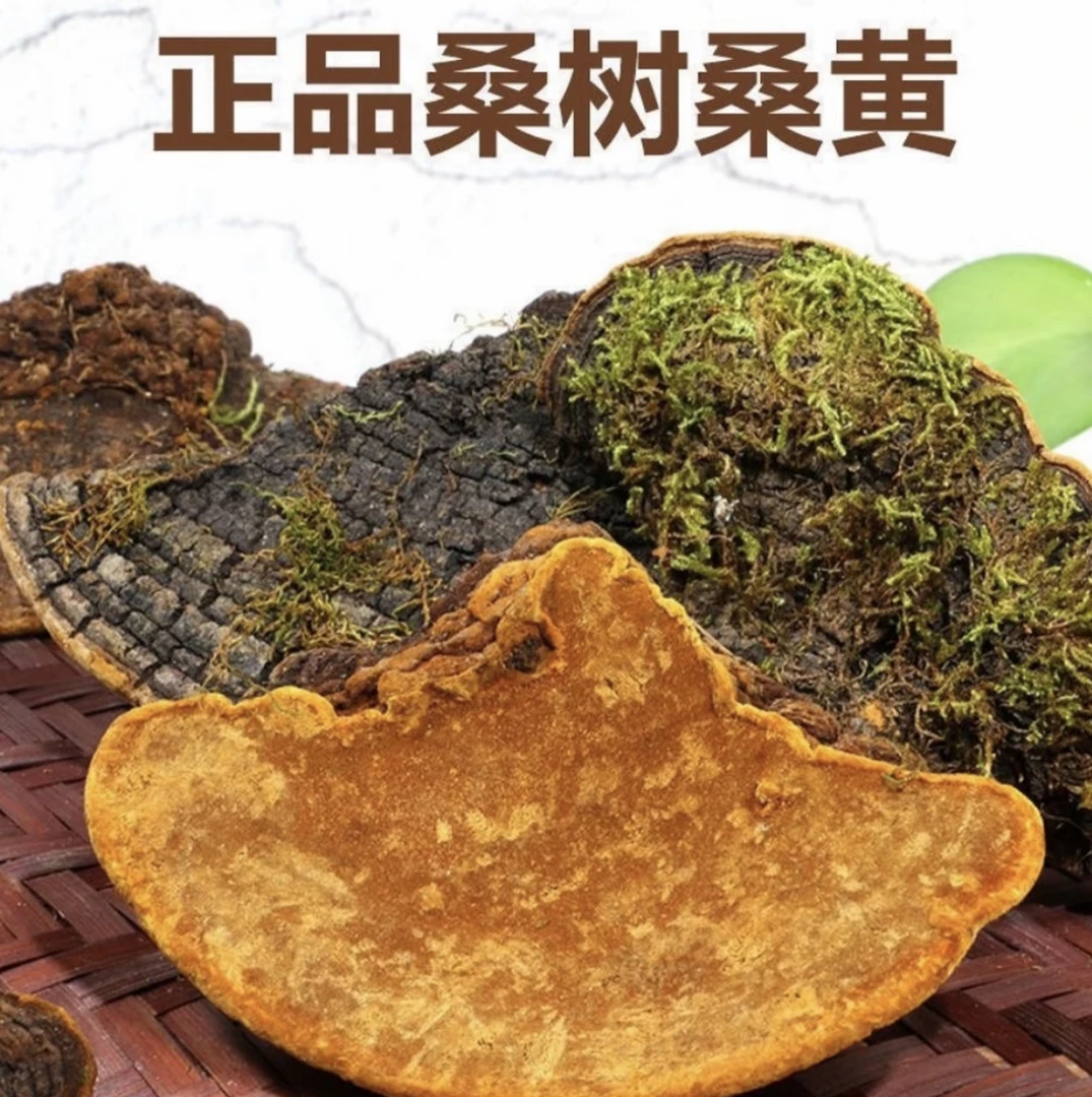 正品云南下山～桑～黄～整块泡水煮水喝500g/袋