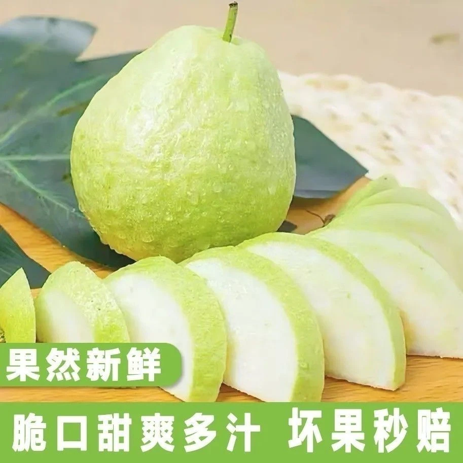 正宗珠海牛奶番石榴孕妇水果新鲜番石榴脆甜