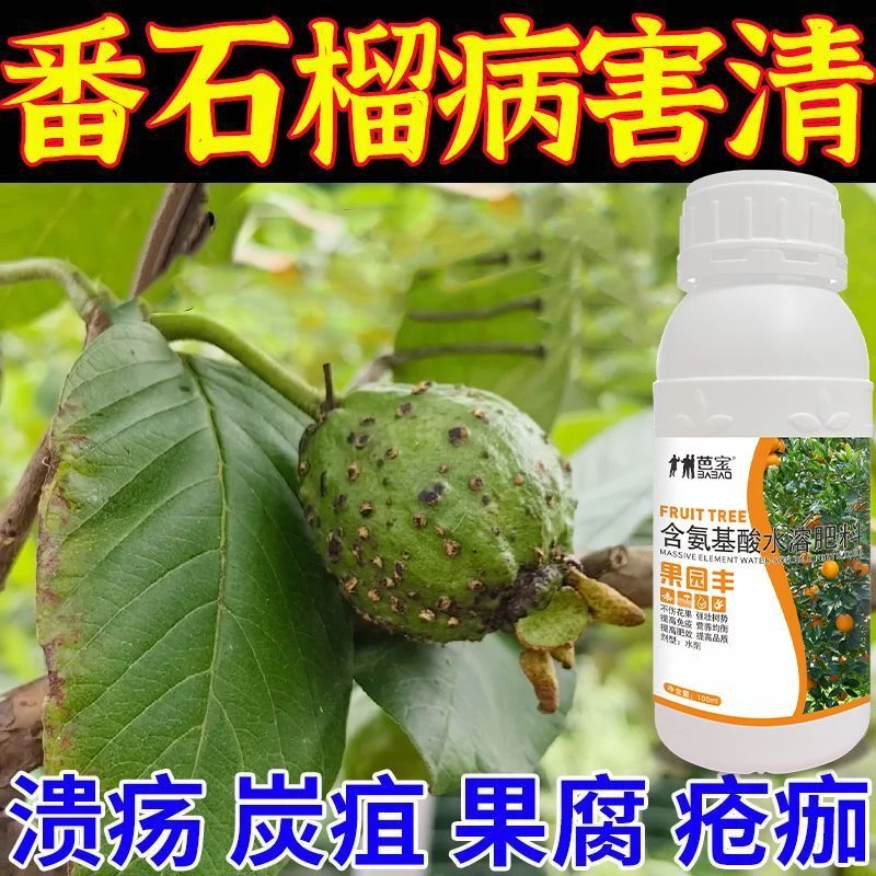 番石榴专用番石榴炭疽叶枯干枯果腐溃疡病微生物菌剂番石榴病全治