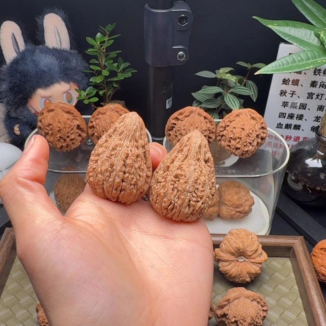 龙脊菩提吊坠全品原树一代正版坐佛33