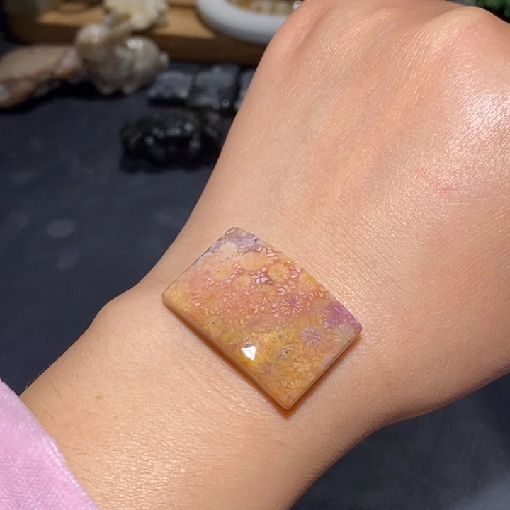 【闪购商品】未镶嵌珊瑚玉硅化玉