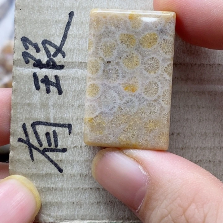 硅化珊瑚（珊瑚玉）颈饰未镶嵌