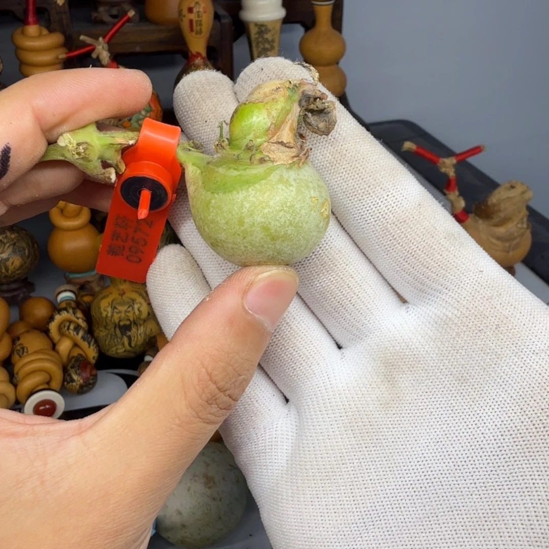 一*11111111111111111