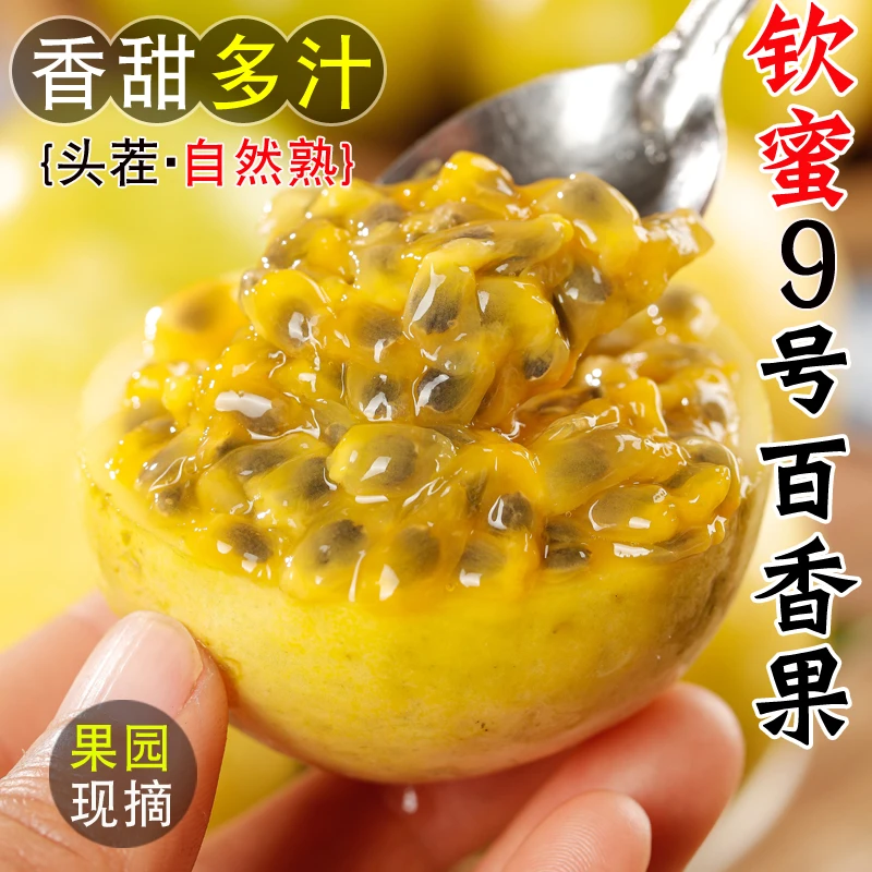 广西钦蜜9号黄金百香果1/3/5斤新鲜水果当季整箱白香果大原果浆甜