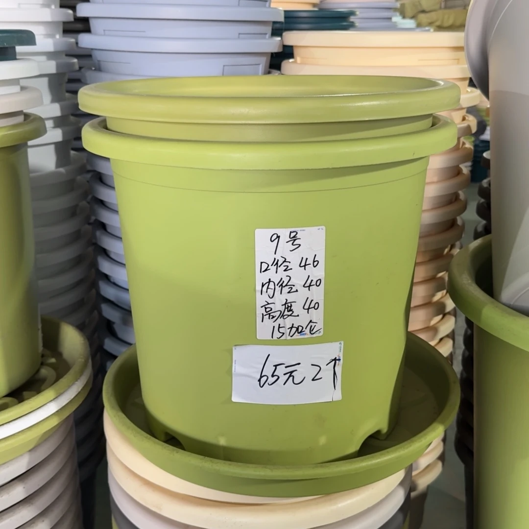 微瑕9#口径46无拖果绿3个