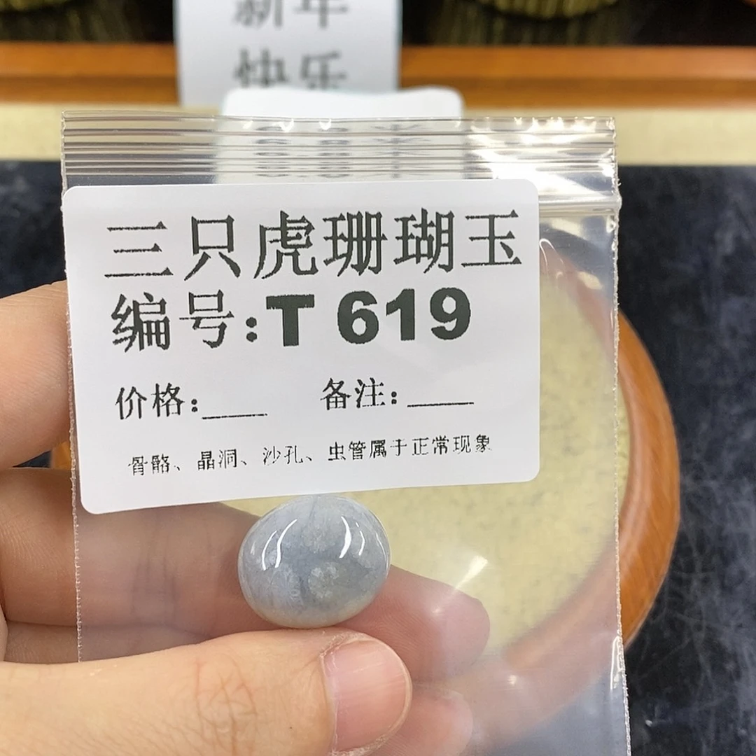 硅化珊瑚（珊瑚玉）1未镶嵌青*