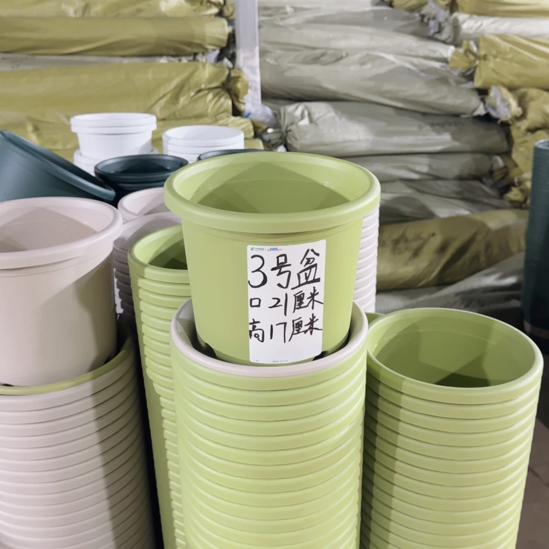 塑料四季盆3号果绿10个带拖