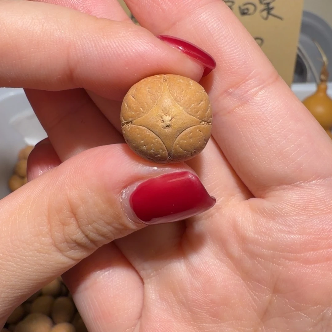 我***芬吊坠凤眼菩提我叫