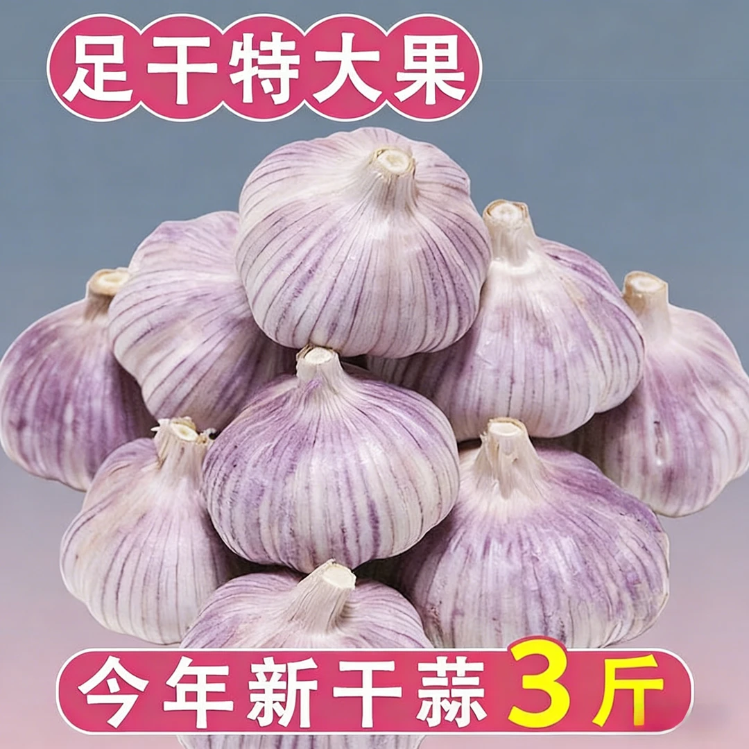 【一直便宜】紫皮大蒜大蒜头大蒜种干蒜特大新鲜大蒜批发红皮