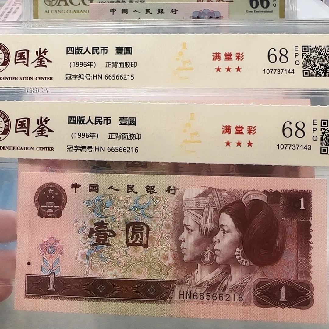 66566215、216。。。。。。