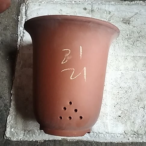 红泥大金钟一个花盆