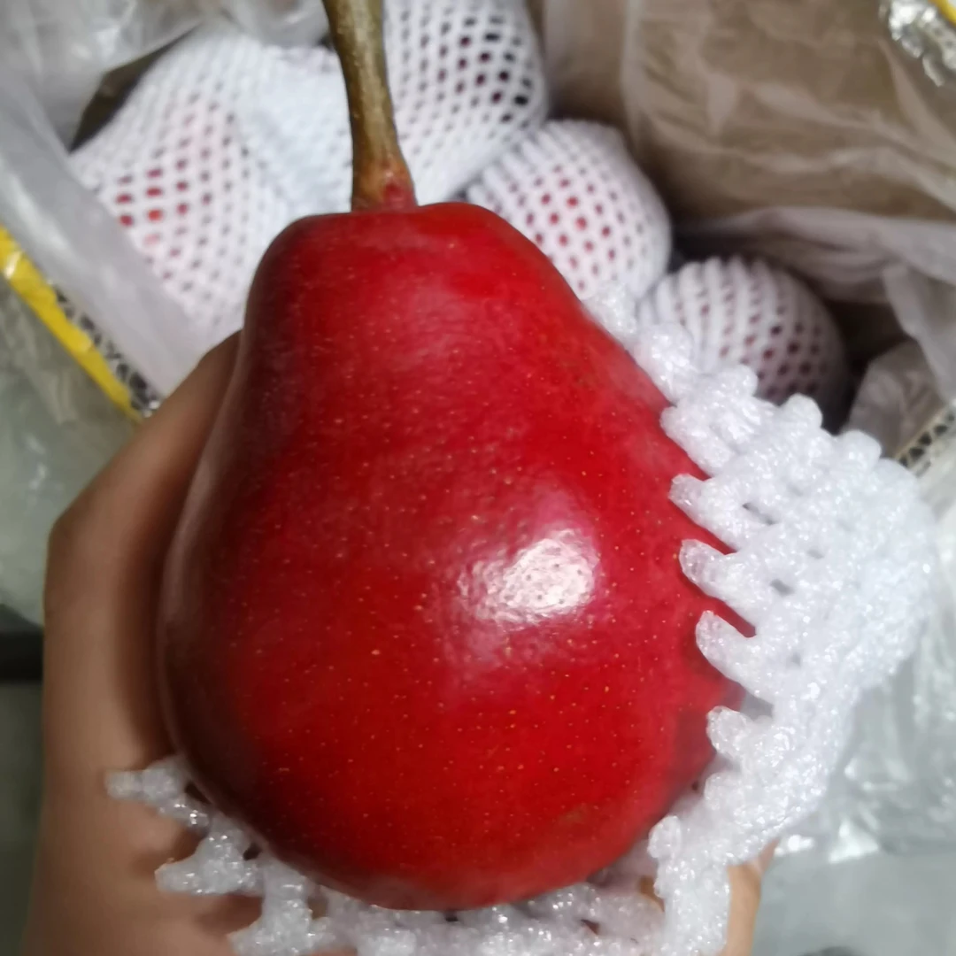 【正宗】国产红啤梨冰淇淋梨软糯香甜太婆梨产地当季孕妇水果红皮梨