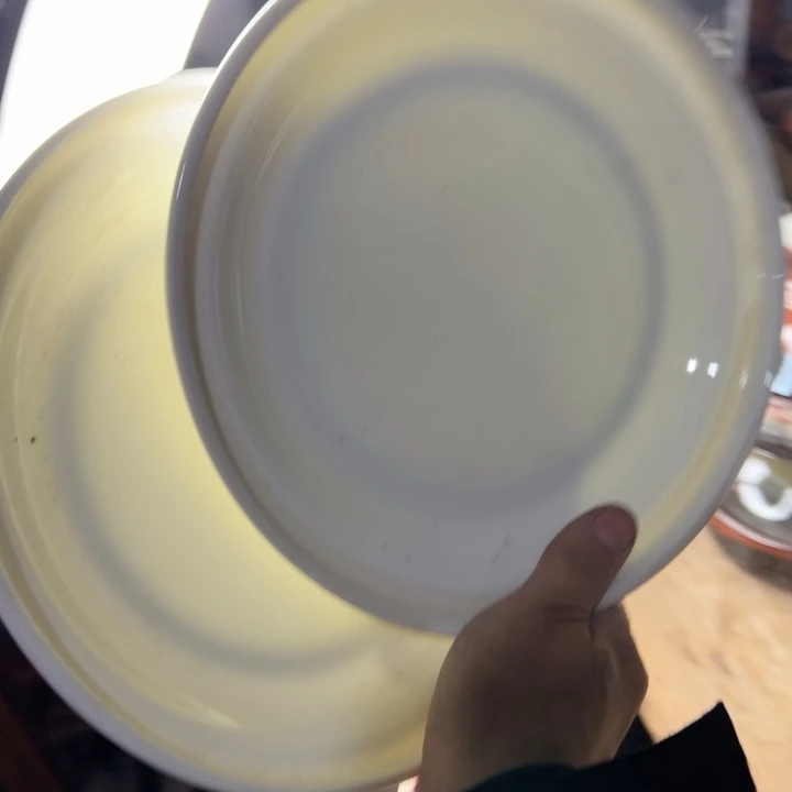 库存尾货骨瓷护盘一对口径20.5