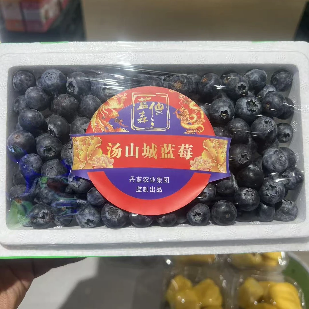 【天天鲜丨送货上门】16+云南蓝莓一盒酸甜口云南省