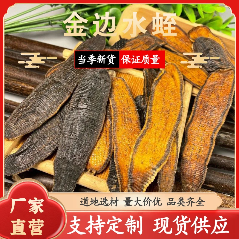 正宗清水金边水蛭正品干货蚂蟥中药材宽体金边金线水蛭保质量