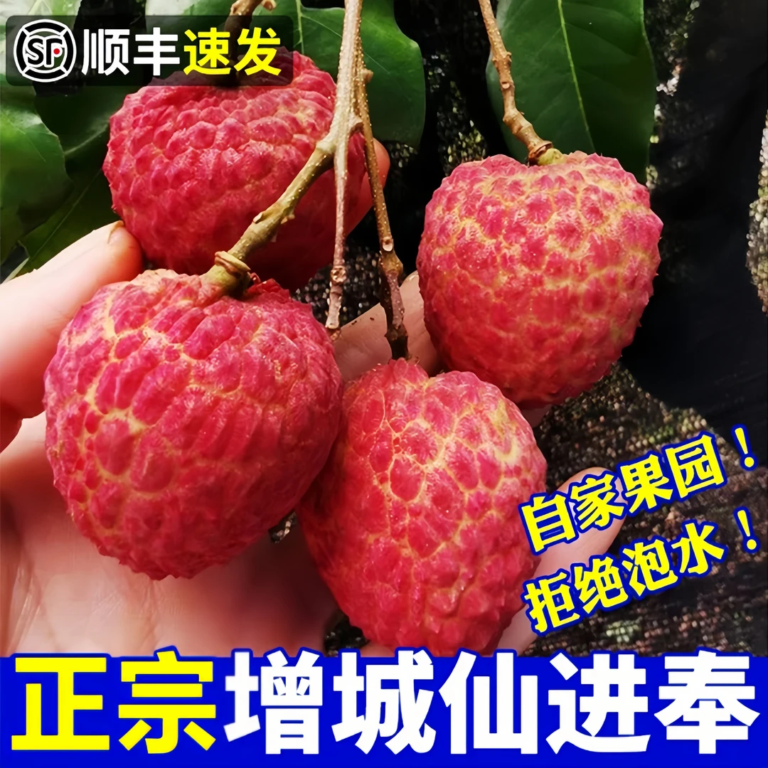 【28颗果王礼盒】增城正宗仙进奉荔枝送礼精品现摘新鲜顺丰京东冷链