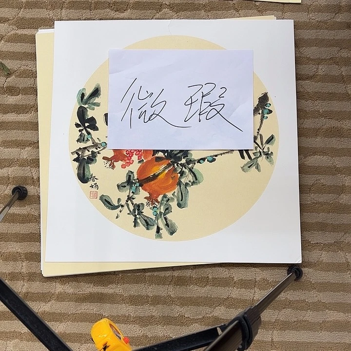 国画隔**王花鸟等多种鸟类和鸟类为主