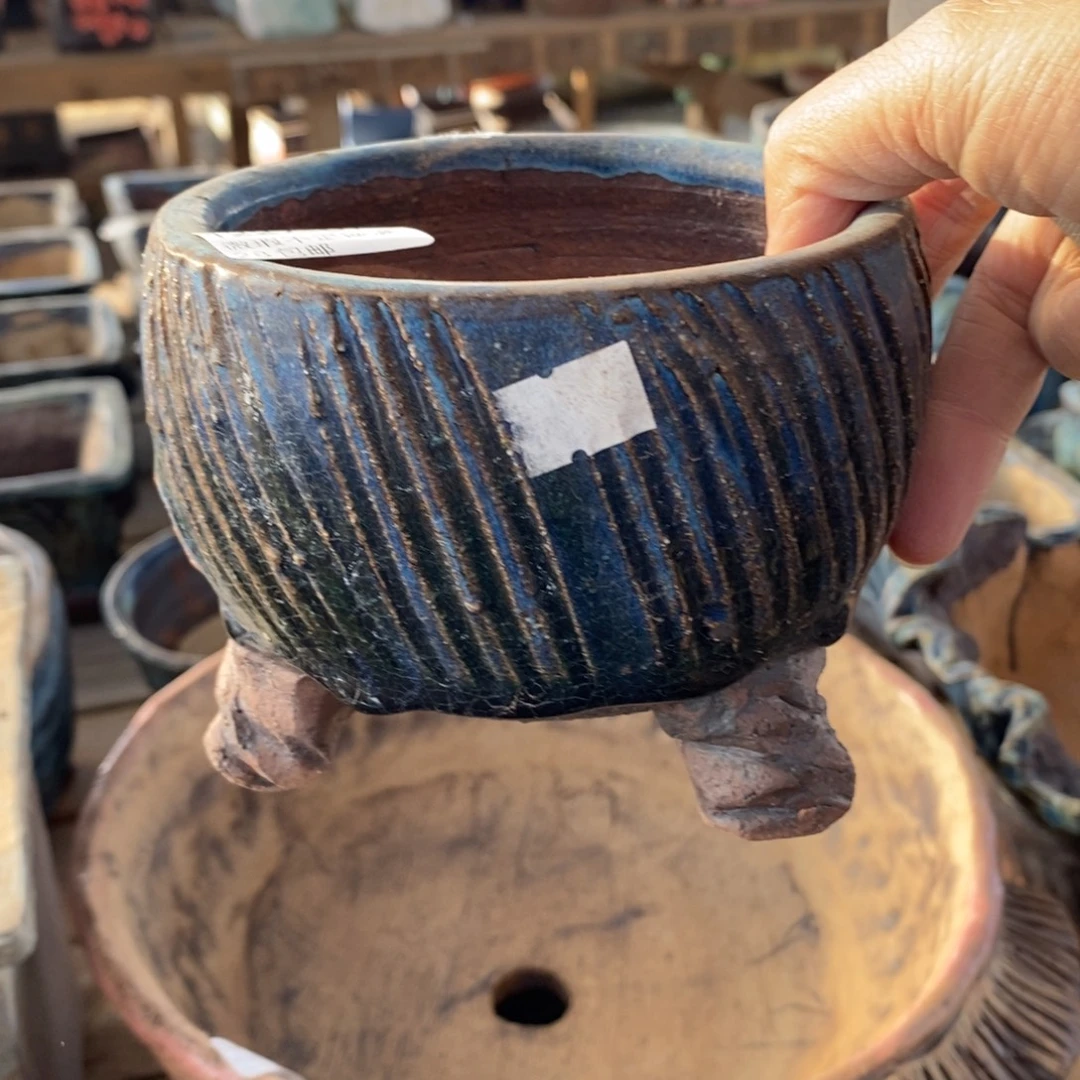 67号多肉盆口径11