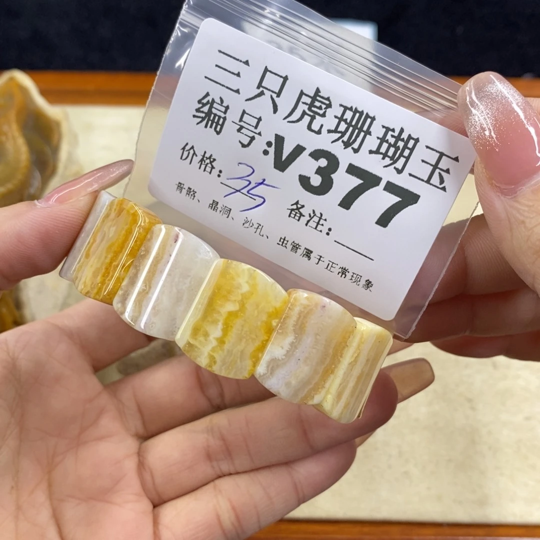 硅化珊瑚（珊瑚玉）未镶嵌11*7