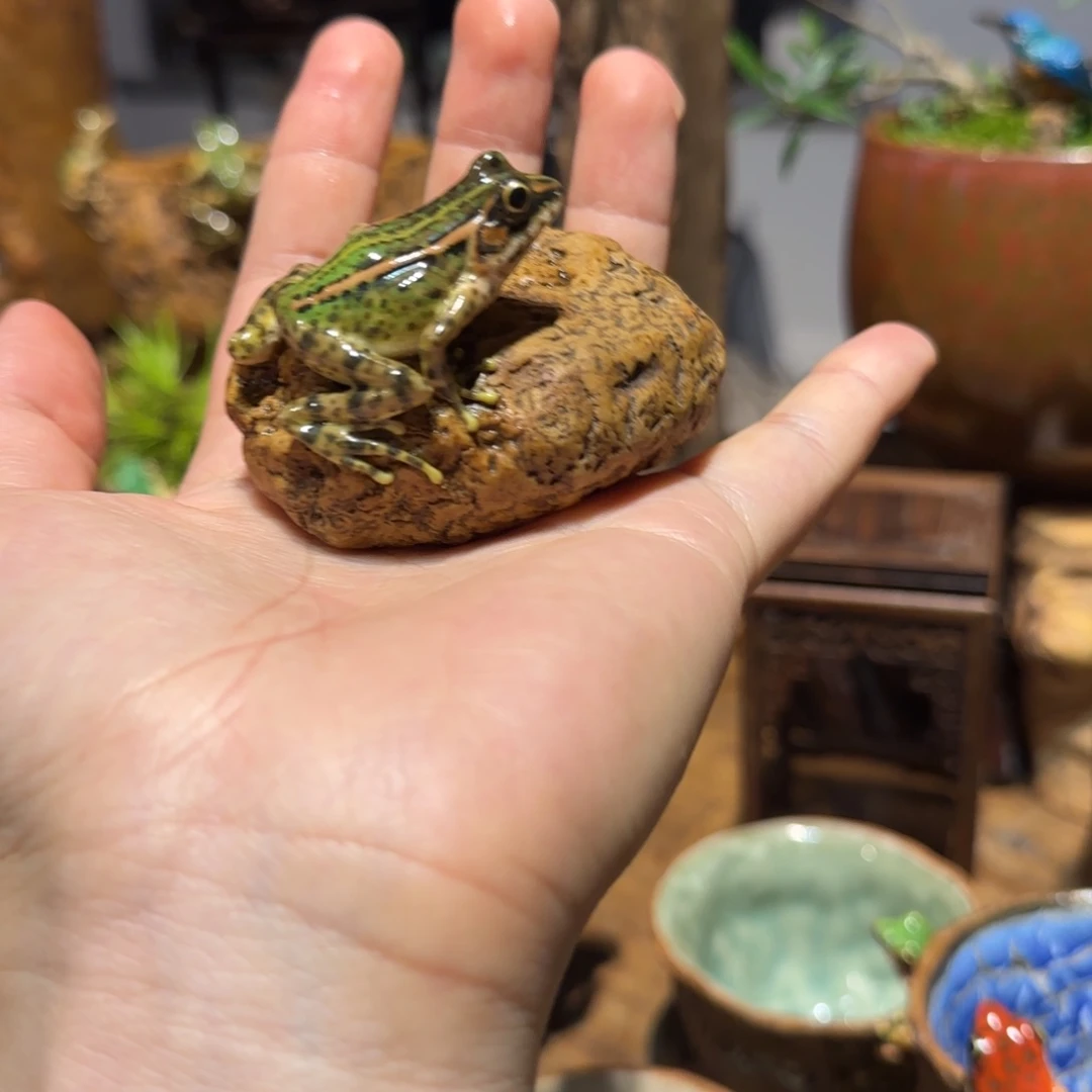嘉*王纯纯粹粹vv姑姑姑姑姑姑姑姑姑姑