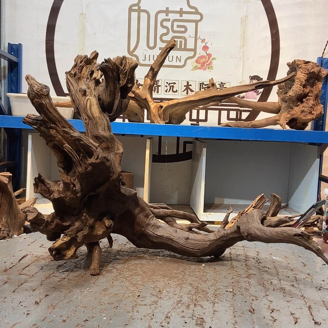 核桃木/黑胡桃（胡桃木）丢****?