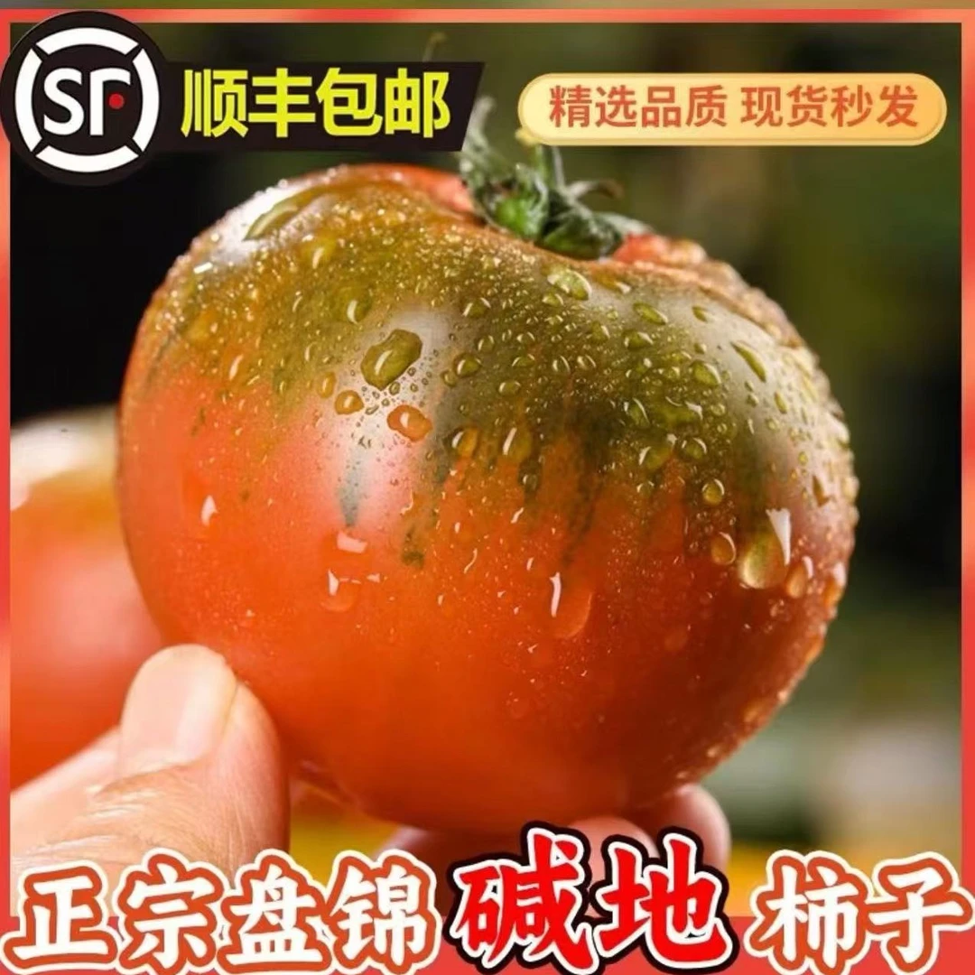 盘锦草莓柿子，碱地柿子，铁皮柿子，即食绿腚番茄，顺丰包邮产地直发