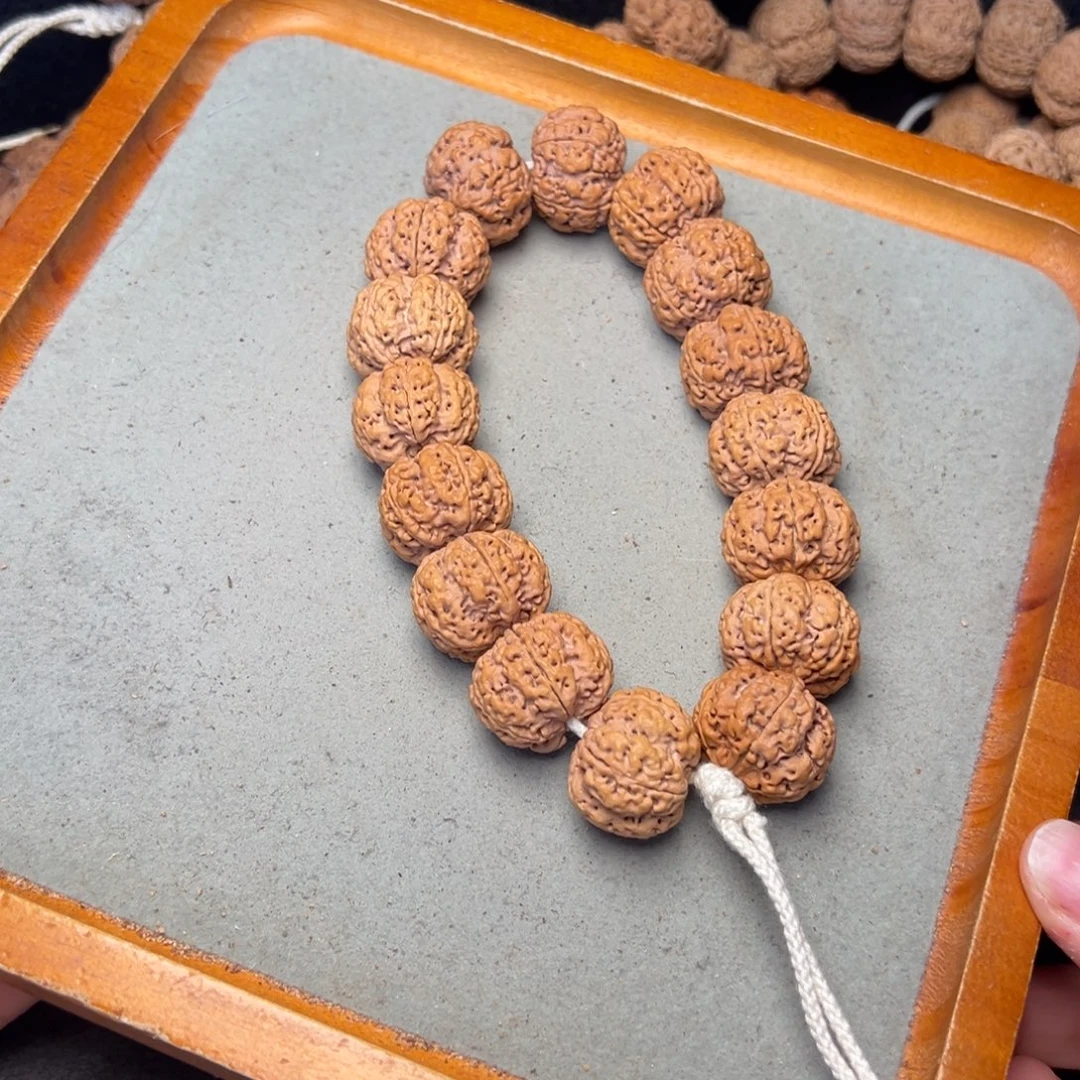 菩提18号金刚菩提豆腐块22