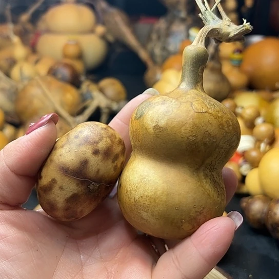 ?葫芦葫芦葫芦葫芦