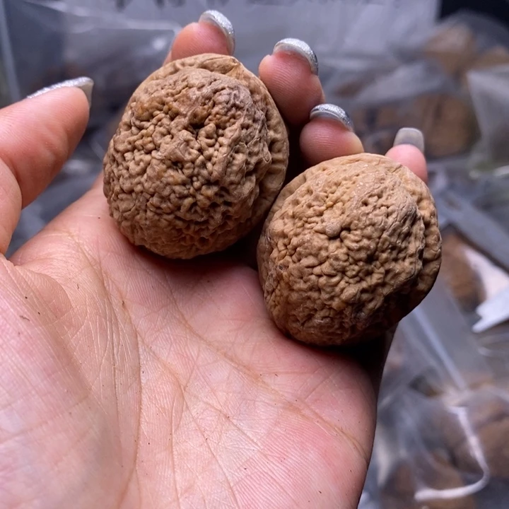 核桃云南野生铁核桃32号38mm