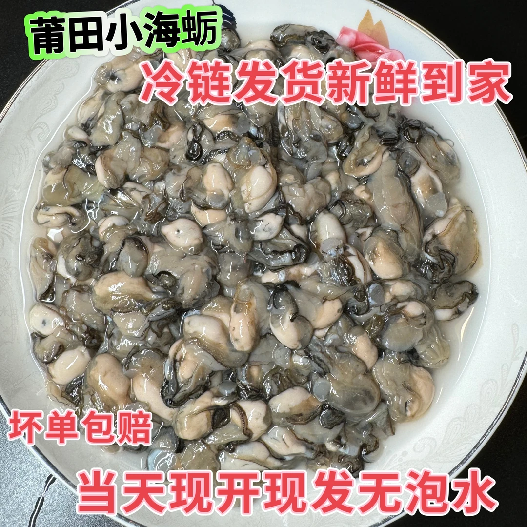 莆田特产 小海蛎 新鲜无泡淡水现开现发小海蛎（内含一点原浆）